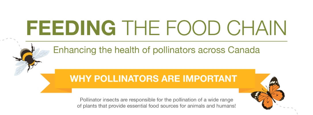 Feed the foodchain infographic.