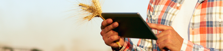 Agriculteur utilisant une technologie numérique dans un champ de céréales